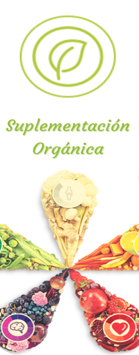 pilar 2 sulemnetacion organica vsb