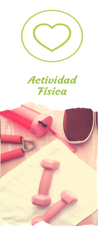 pilar 5 actividad fisica vsb