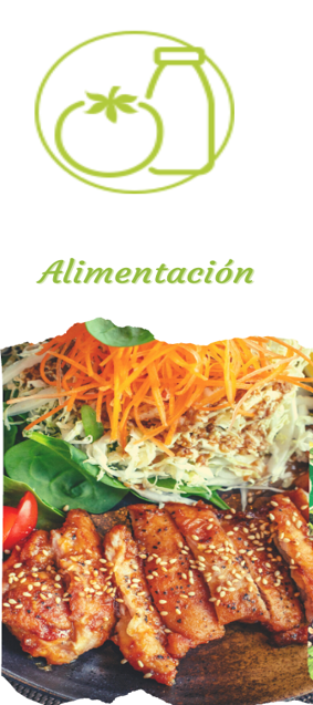 pilar1 alimentacion vsb